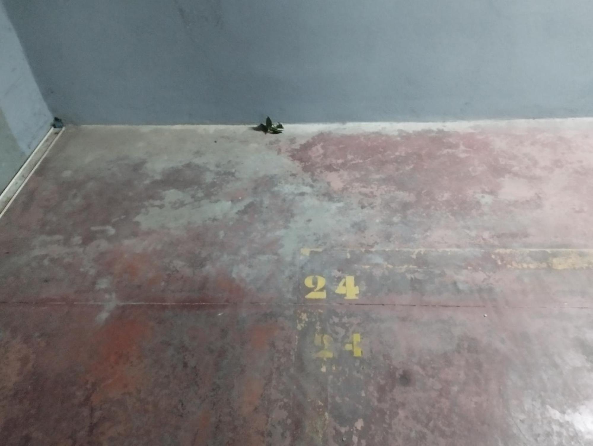 Barcelo 30, Terrace, Center, Garage On Request, Quite Neighborhood, Ba Apartment Malaga Bagian luar foto